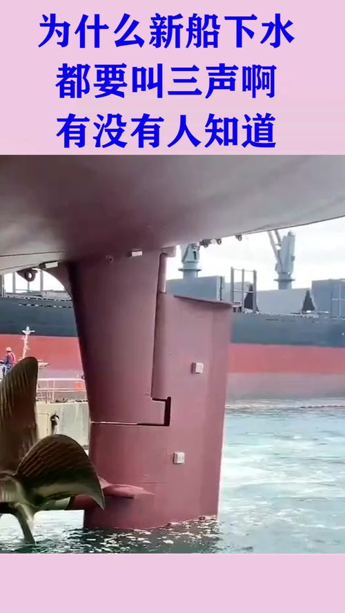 為什么新船下水,都要哭喊三聲,有沒有知道啊